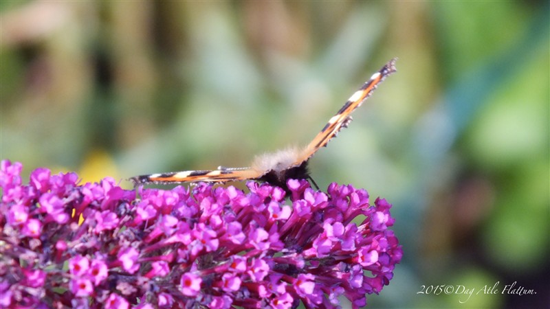 DSCF6112.JPG