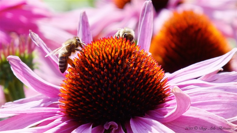 DSCF6133.JPG
