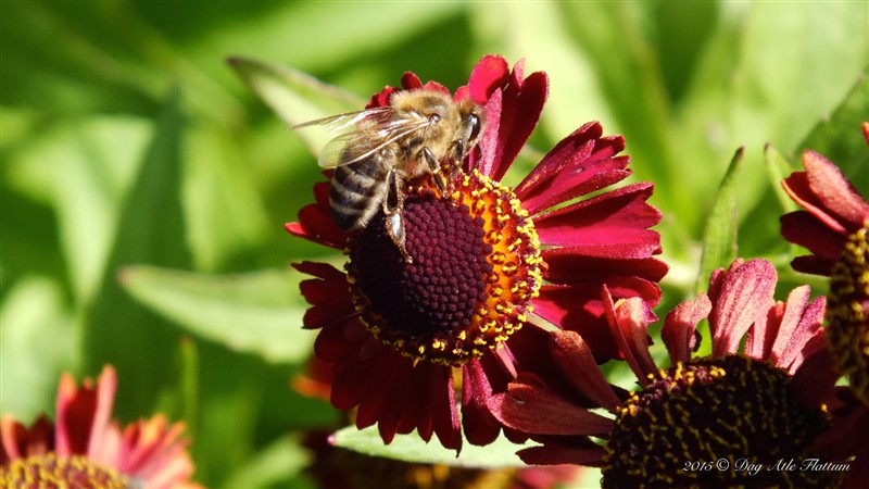 DSCF6135.JPG