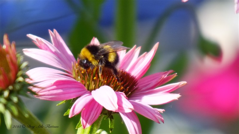 DSCF6152.JPG