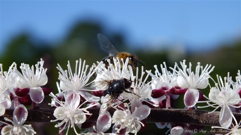 DSCF6159.JPG
