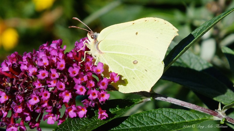 DSCF6169.JPG