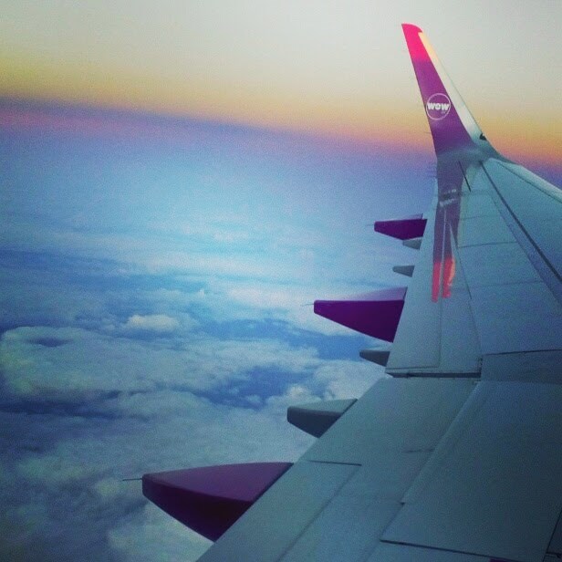 Islandfly.jpg